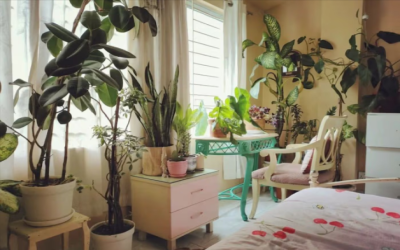 Gallery thumbnail Apartment for Sale in Gulshan